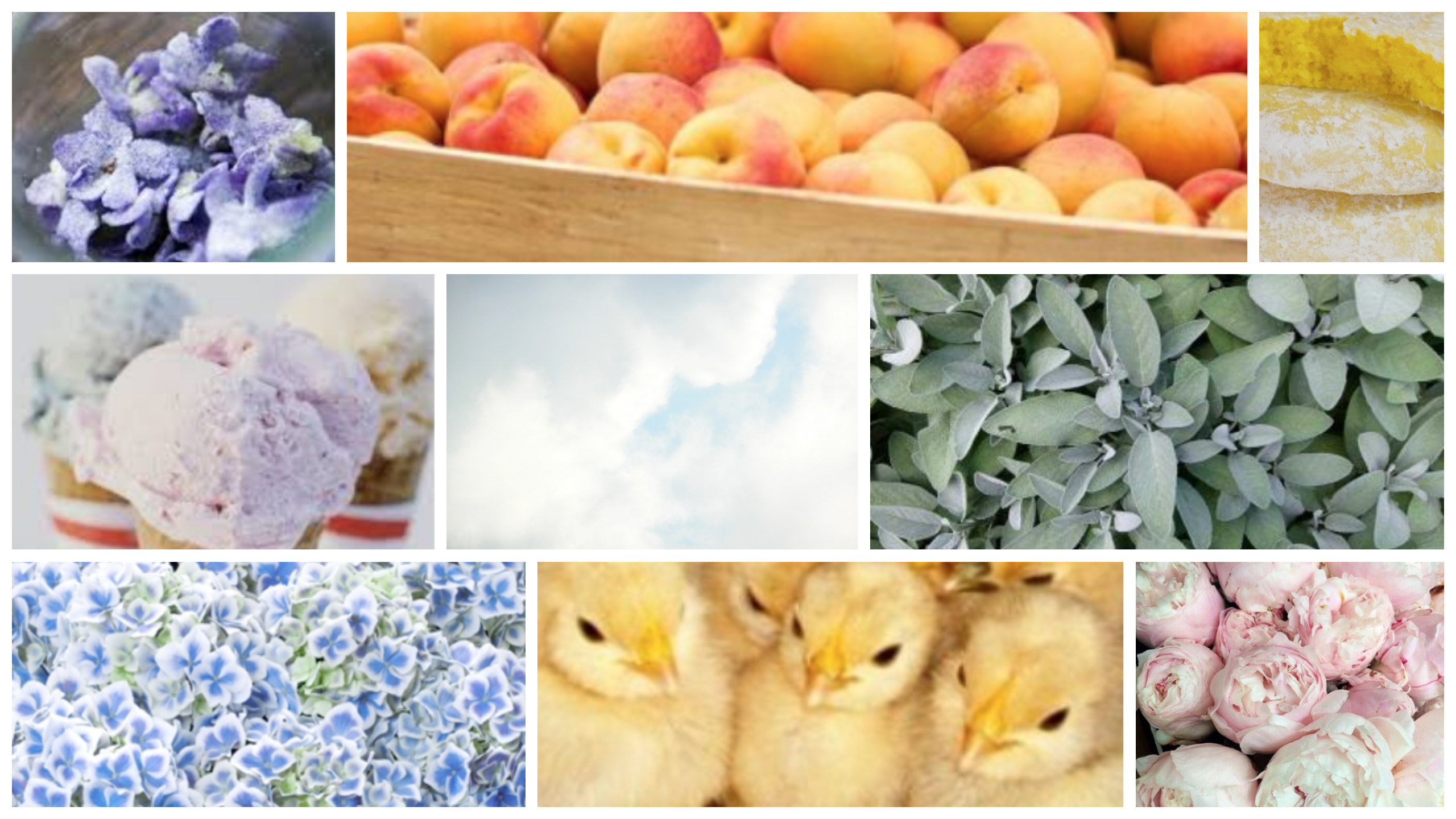 Pretty in ethical pastels SS18