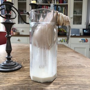 Straining nut mylk into glass jar