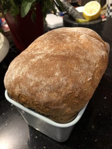 Kate Harcourt's fail-safe bread recipe